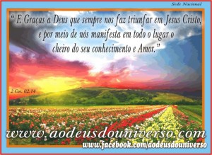 Campo Florido - Deus no usa para levar seu amor - msg facebook Igreja Ao Deius do Universo - Pr. Daniel Strelle